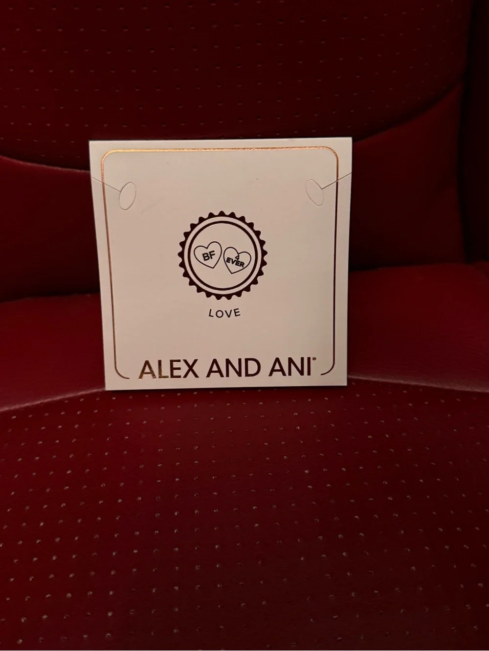 Alex and Ani Color Infusion Best Friends Duo Charm Expandable Bracelet